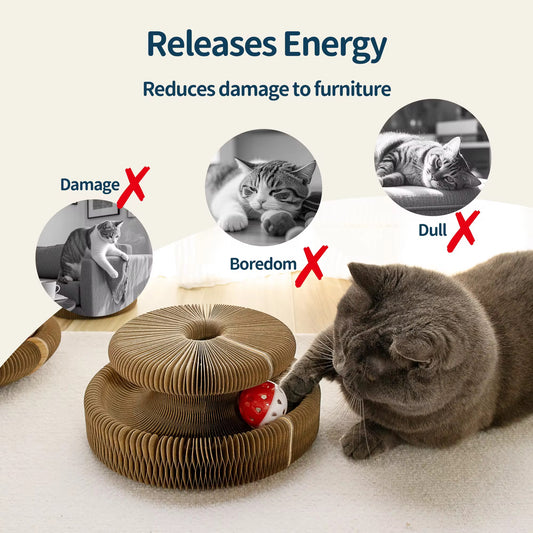 Magical Foldable Cat Scratch Toy with Rolling Balls – Interactive Cat Scratcher