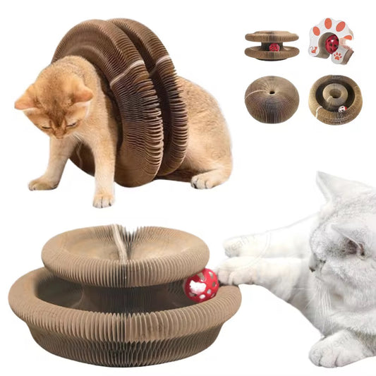 Magical Foldable Cat Scratch Toy with Rolling Balls – Interactive Cat Scratcher