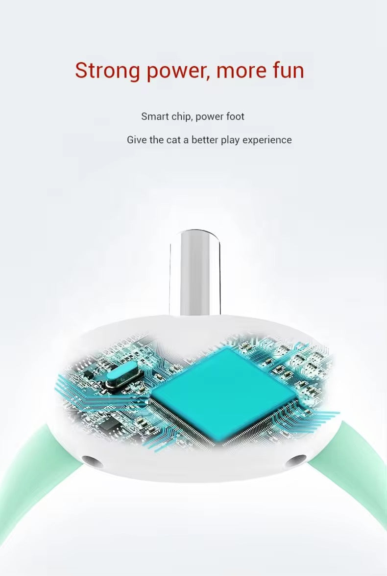 Rechargeable Cat Collar Laser Toy – Hands-Free Interactive Pet Exercise