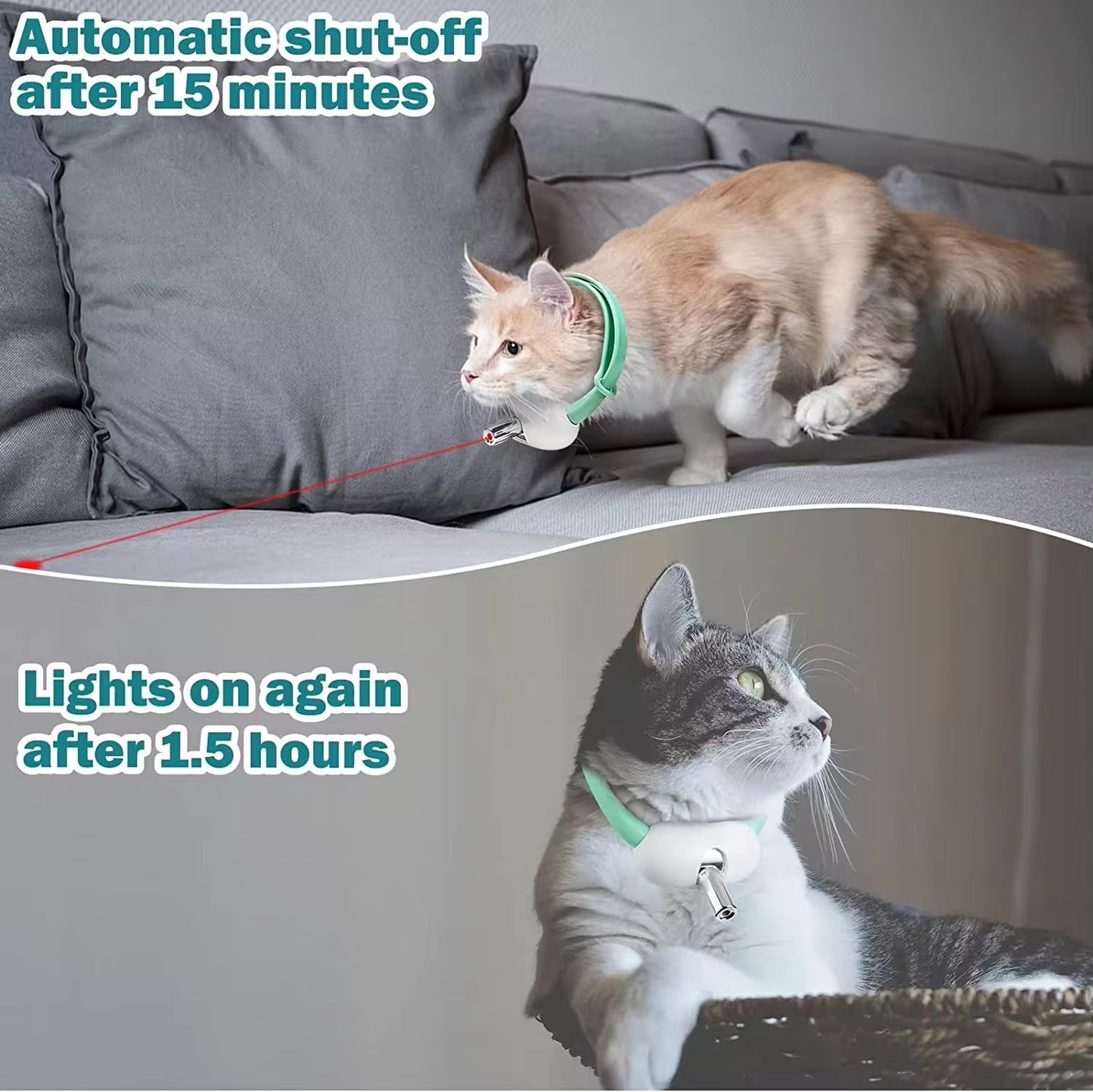 Rechargeable Cat Collar Laser Toy – Hands-Free Interactive Pet Exercise